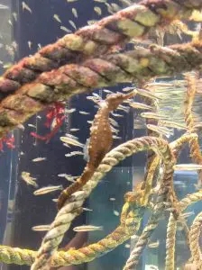 ブログ｜みなみ在宅クリニック