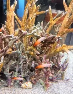 ブログ｜みなみ在宅クリニック