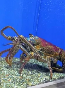 ブログ｜みなみ在宅クリニック