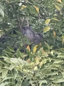 ブログ｜みなみ在宅クリニック