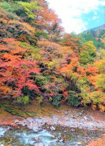 ブログ|みなみ在宅クリニック ブログ|みなみ在宅クリニック