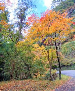ブログ|みなみ在宅クリニック ブログ|みなみ在宅クリニック