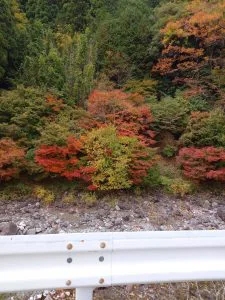 ブログ|みなみ在宅クリニック ブログ|みなみ在宅クリニック