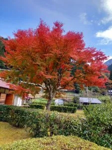 ブログ|みなみ在宅クリニック ブログ|みなみ在宅クリニック