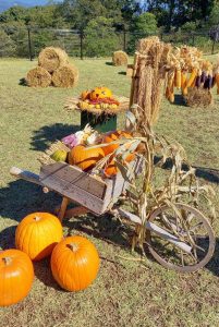 ブログ|みなみ在宅クリニック ブログ|みなみ在宅クリニック