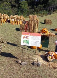 ブログ|みなみ在宅クリニック ブログ|みなみ在宅クリニック