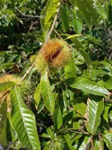 ブログ｜みなみ在宅クリニック