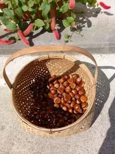 ブログ｜みなみ在宅クリニック