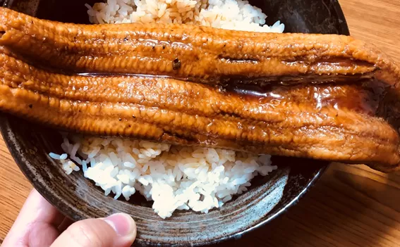 ブログ｜みなみ在宅クリニック