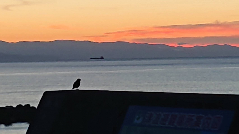 ブログ｜みなみ在宅クリニック