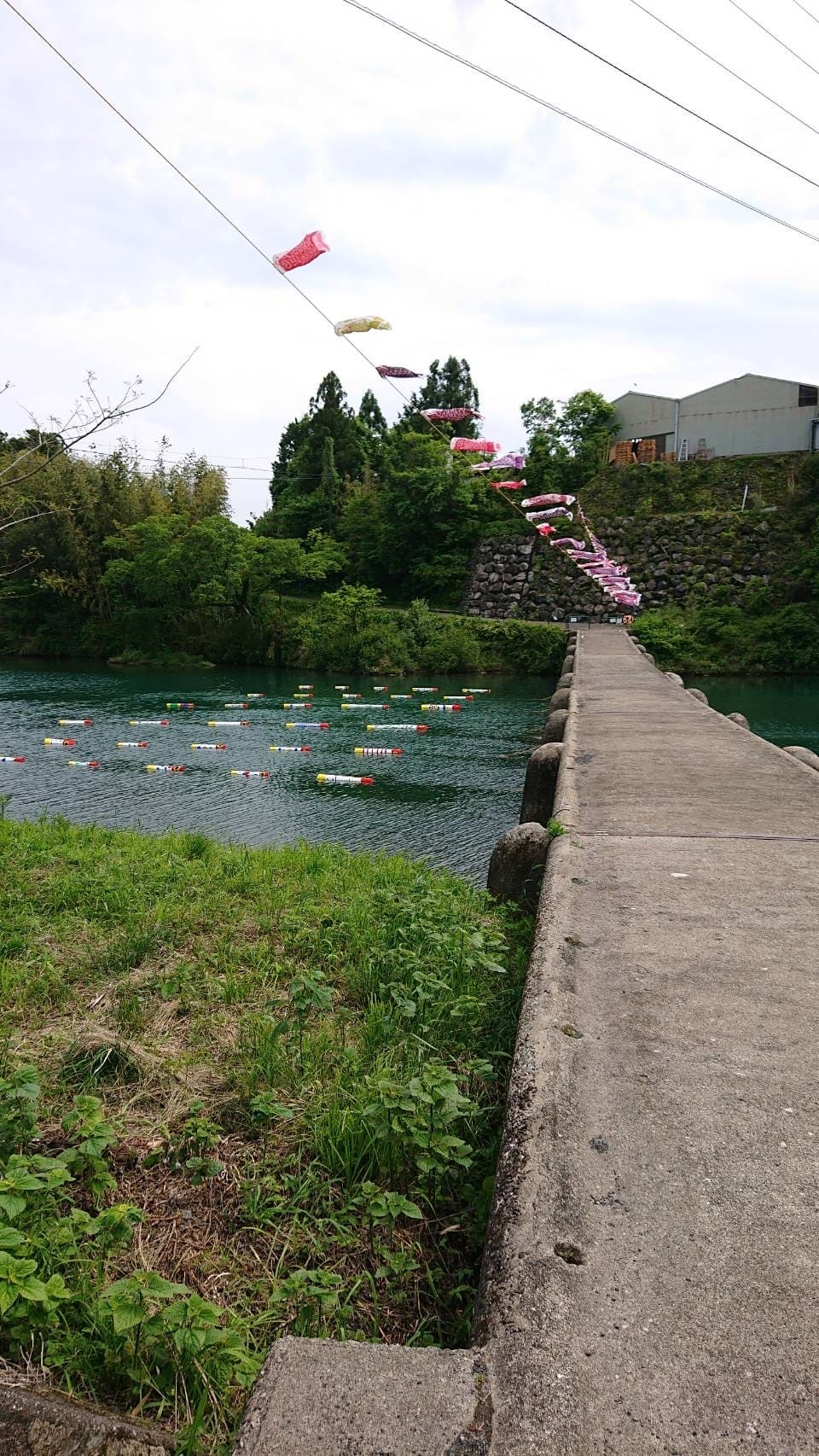 ブログ｜みなみ在宅クリニック