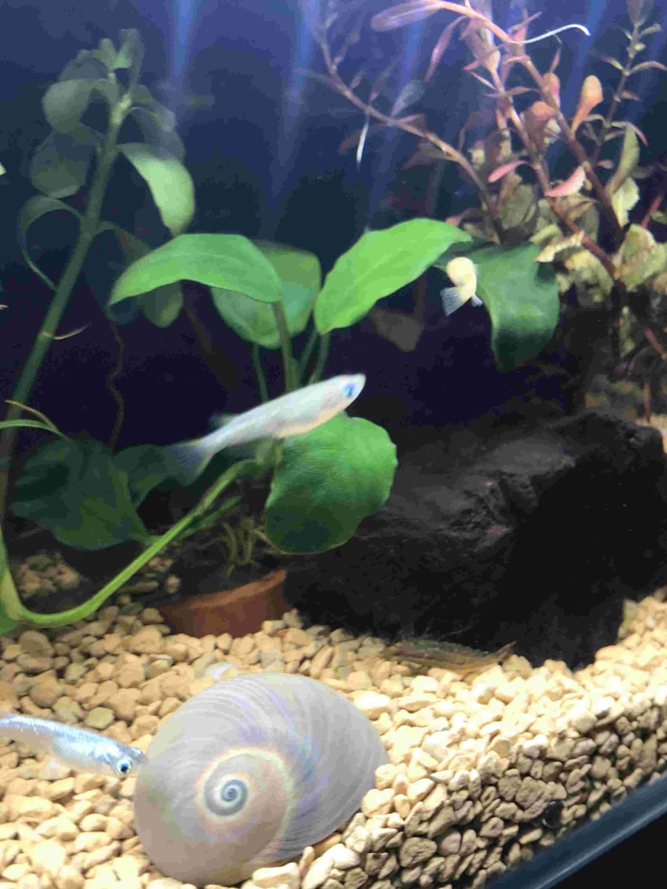 ブログ｜みなみ在宅クリニック