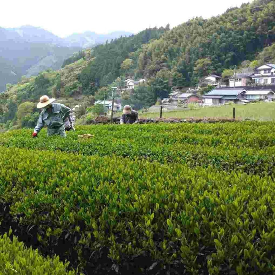 ブログ｜みなみ在宅クリニック