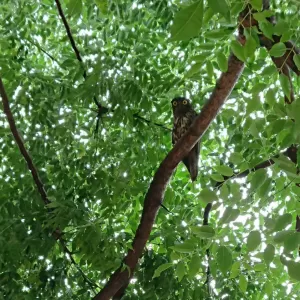 ブログ｜みなみ在宅クリニック