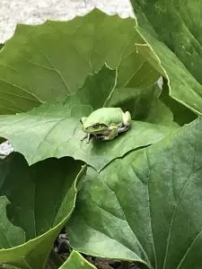 ブログ｜みなみ在宅クリニック