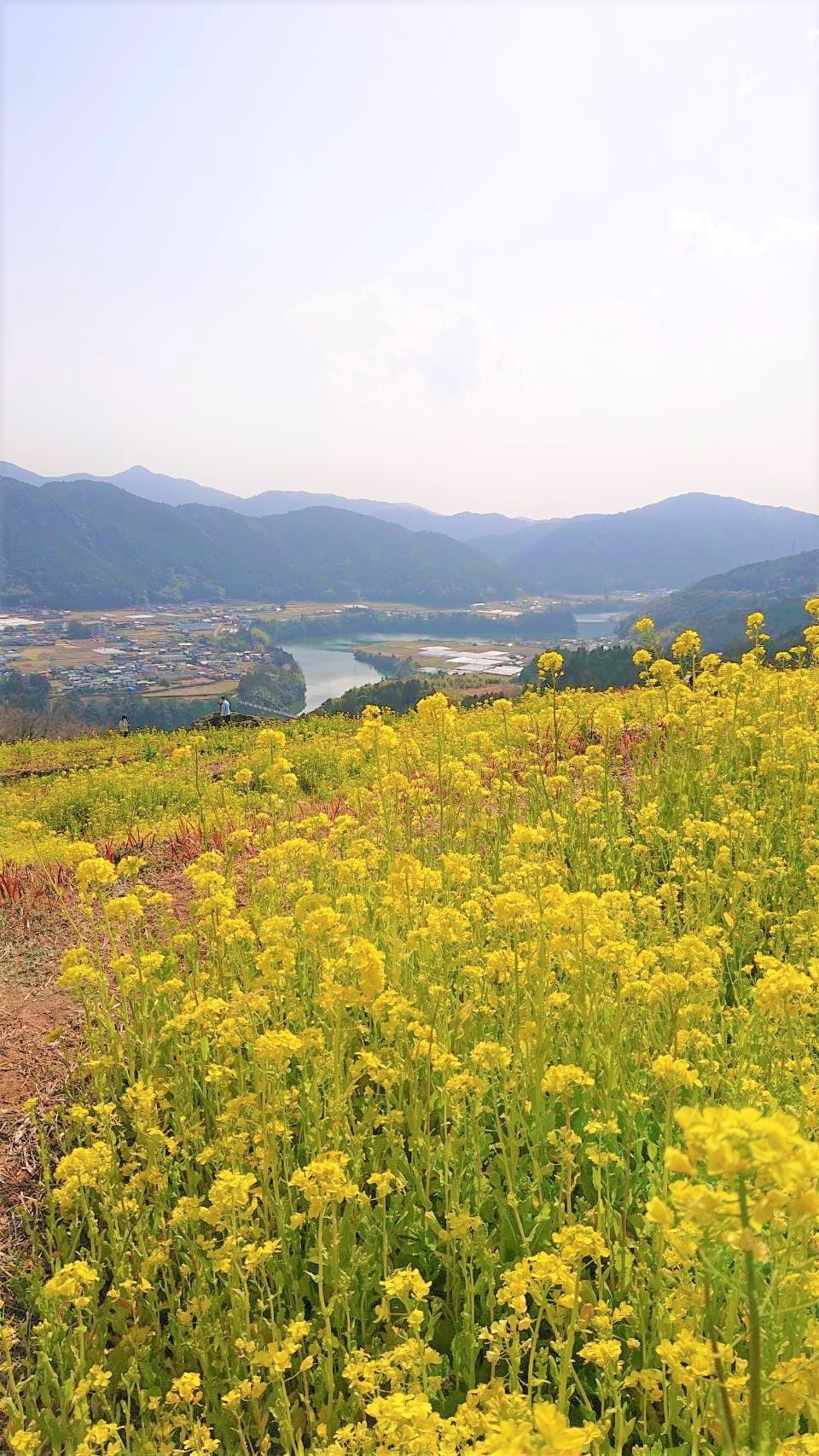 ブログ｜みなみ在宅クリニック