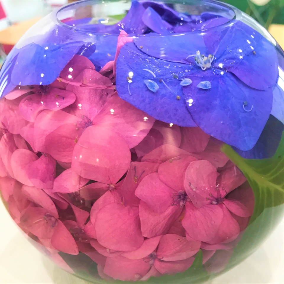 ブログ｜みなみ在宅クリニック