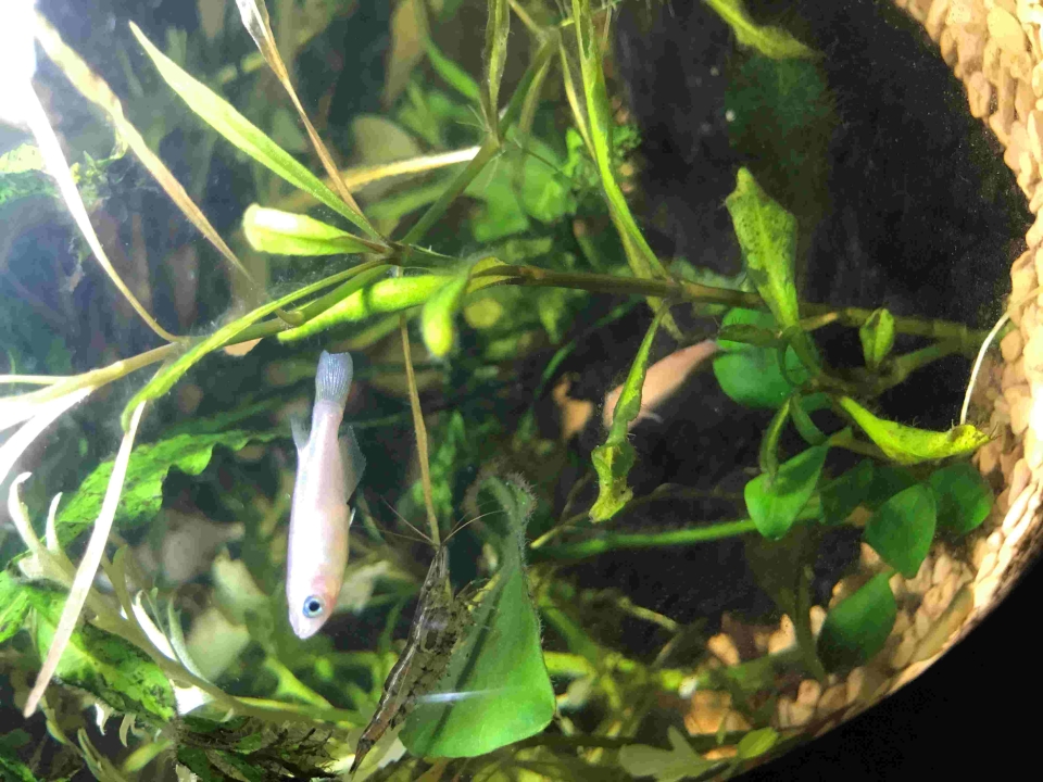 ブログ｜みなみ在宅クリニック