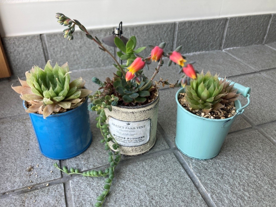 ブログ｜みなみ在宅クリニック